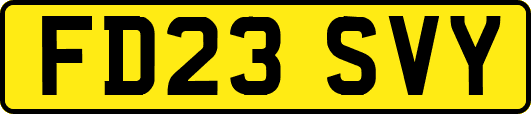 FD23SVY