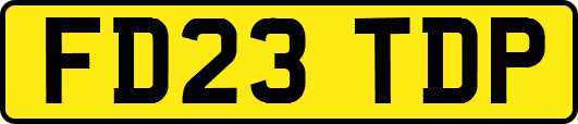 FD23TDP