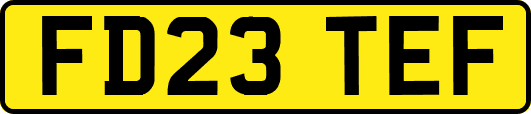 FD23TEF