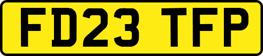FD23TFP