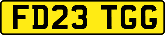 FD23TGG