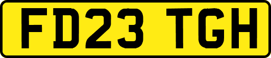 FD23TGH