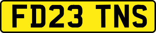 FD23TNS