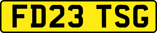 FD23TSG