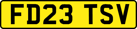 FD23TSV