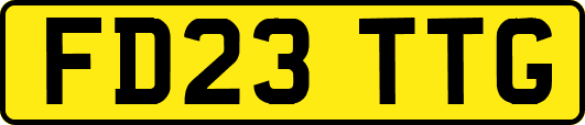 FD23TTG