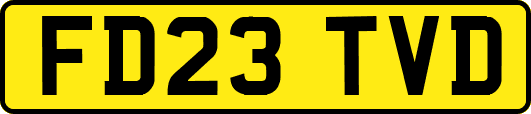 FD23TVD