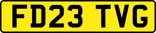 FD23TVG