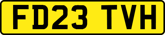 FD23TVH