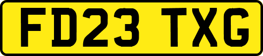 FD23TXG