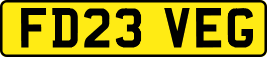 FD23VEG
