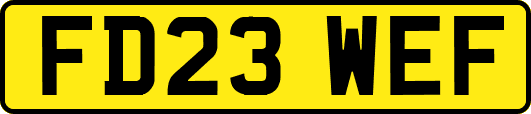 FD23WEF