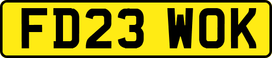 FD23WOK