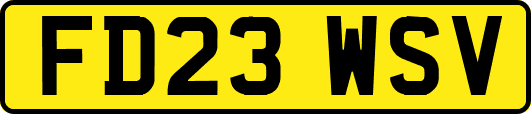 FD23WSV