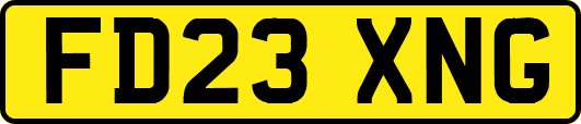 FD23XNG