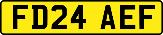 FD24AEF