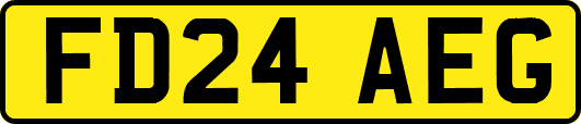 FD24AEG