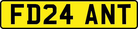 FD24ANT