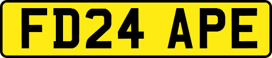 FD24APE