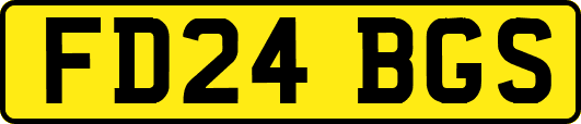 FD24BGS