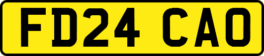 FD24CAO