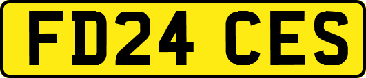 FD24CES