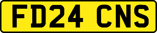 FD24CNS
