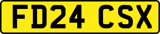 FD24CSX