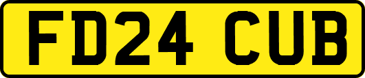 FD24CUB