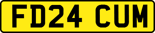 FD24CUM