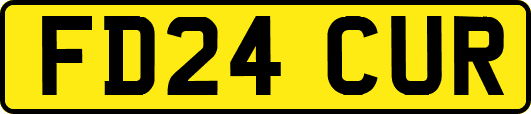 FD24CUR