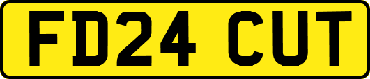 FD24CUT