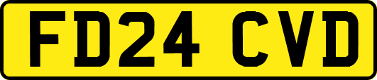 FD24CVD