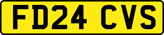 FD24CVS