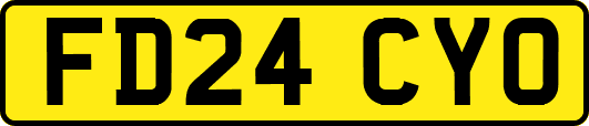 FD24CYO