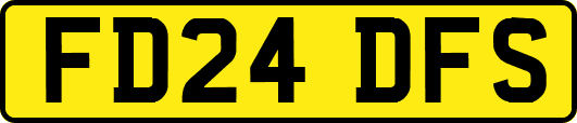 FD24DFS