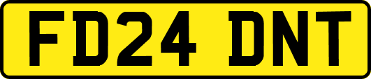 FD24DNT