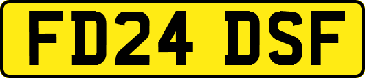 FD24DSF