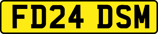 FD24DSM