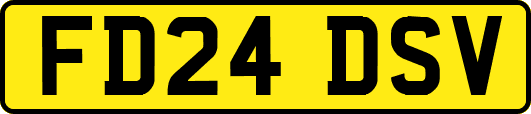 FD24DSV