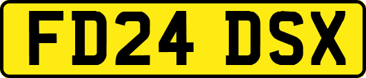 FD24DSX