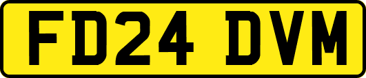 FD24DVM