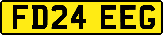 FD24EEG