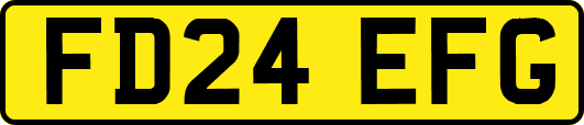 FD24EFG