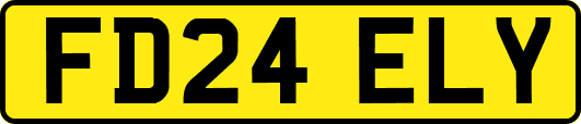 FD24ELY