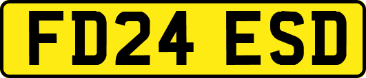 FD24ESD