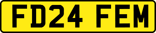 FD24FEM