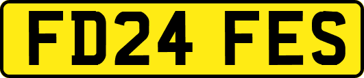 FD24FES