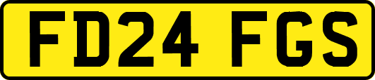 FD24FGS