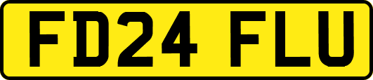 FD24FLU